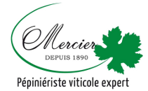 Mercier